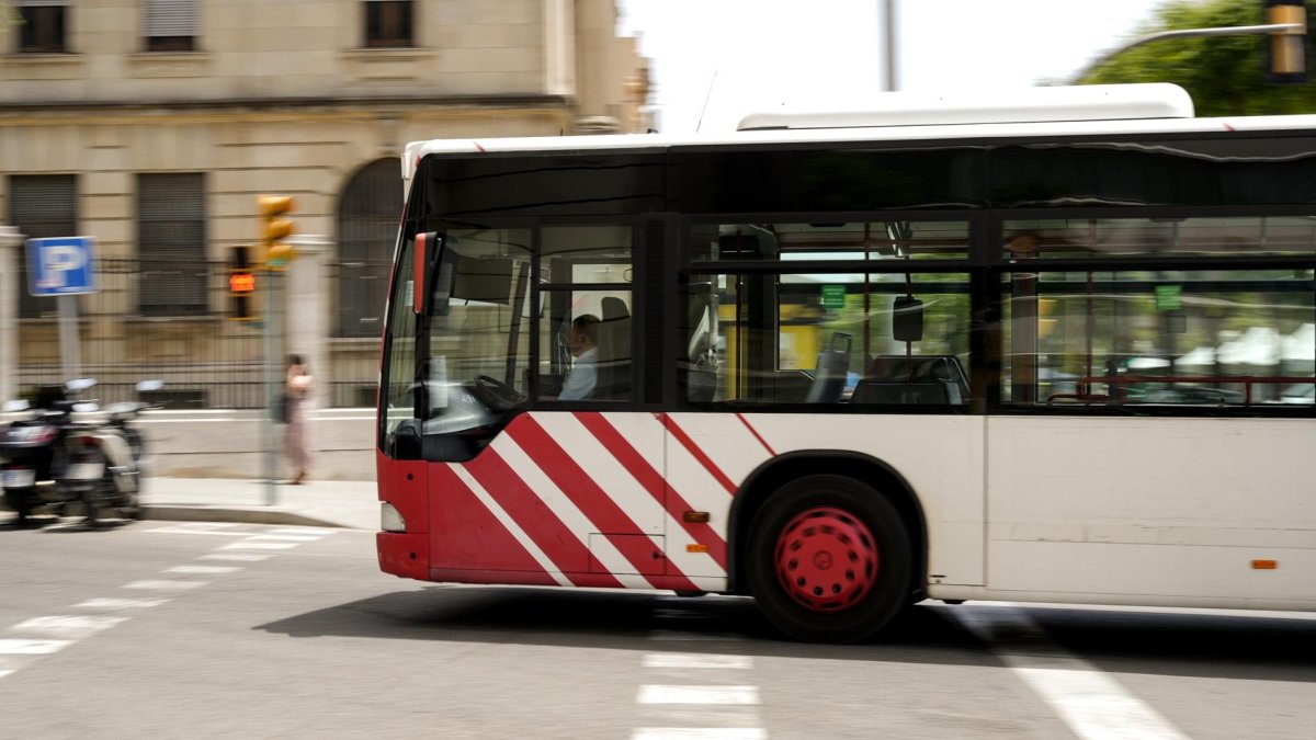 Imagen de un autobús de la EMT.