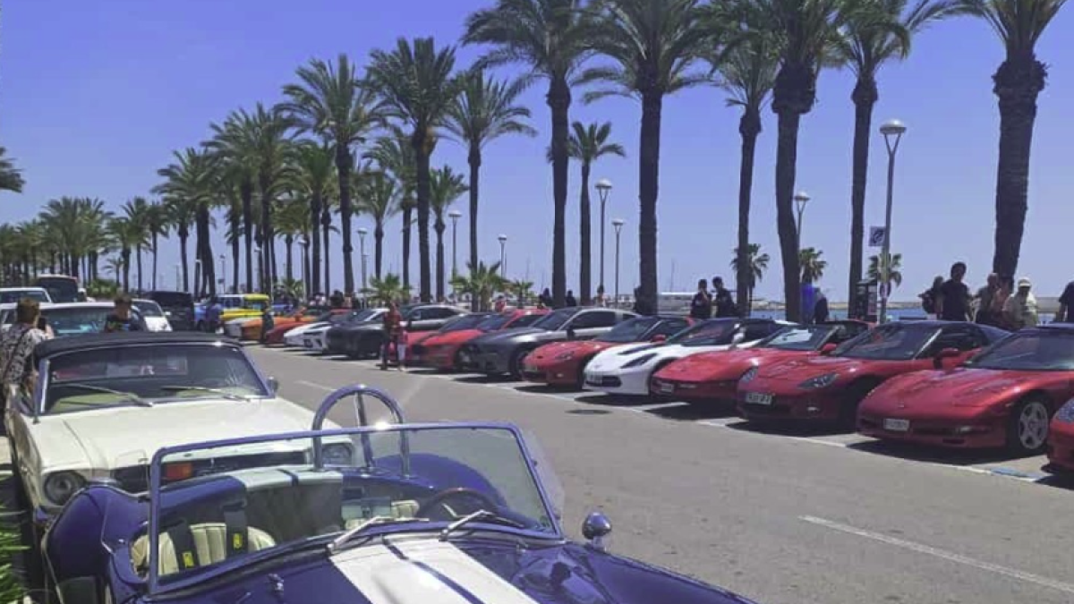 Imagen de una concentración de Corvettes.