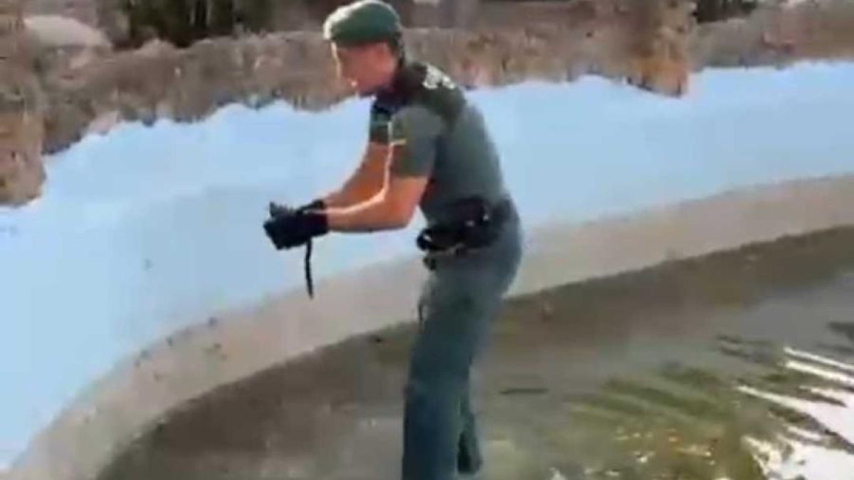 Rescat esquirol tortosa