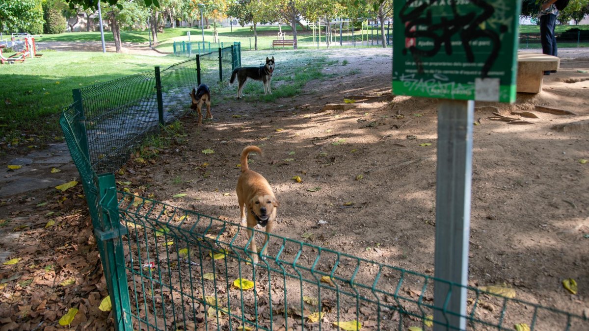 Imagen del pipi-can del Parque de la Ciutat, uno de los 13 de los que dispone Tarragona.