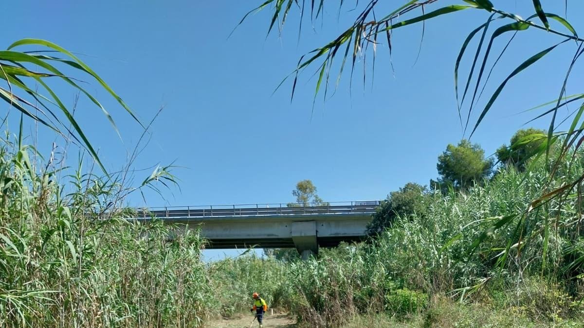 Imagen de uno de los caminos desbrozados en Tarragona este verano.