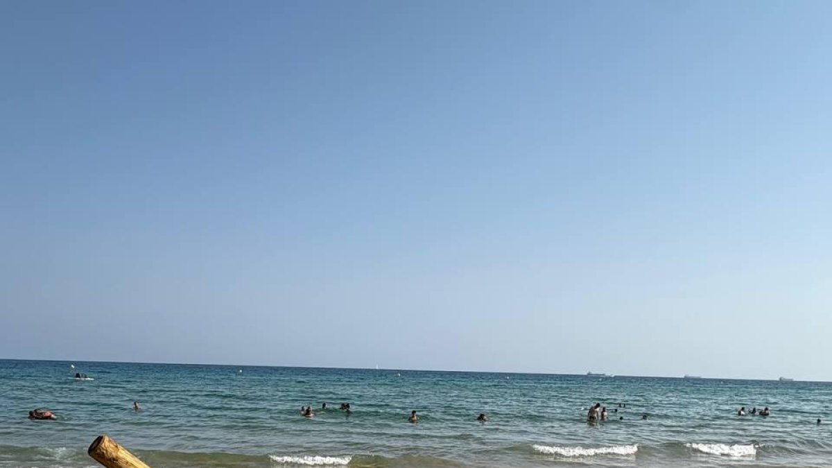 Estado en que se encuentra en la zona de perros en la playa Llarga.