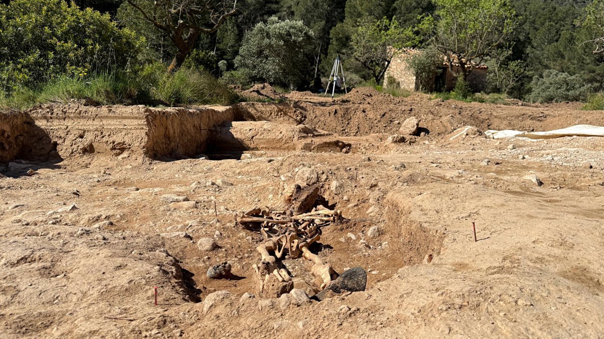 Excavació arqueològica de la Teuleria.