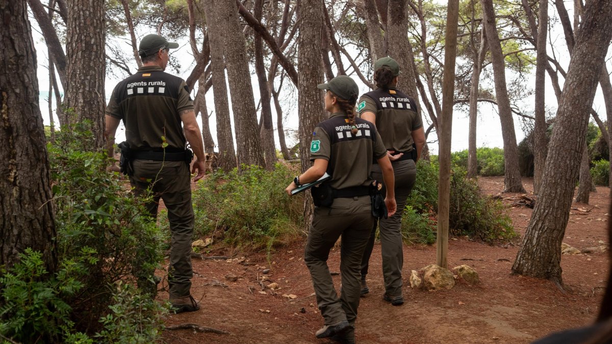 Vigilancia de Agentes Rurales en el Bosque de la Marquesa.
