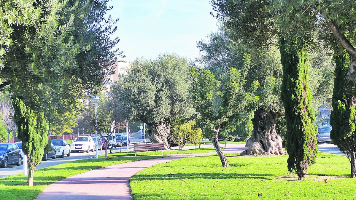 El nou contracte, de dos anys de durada, reforça la cura dels parcs i jardins del municipi.