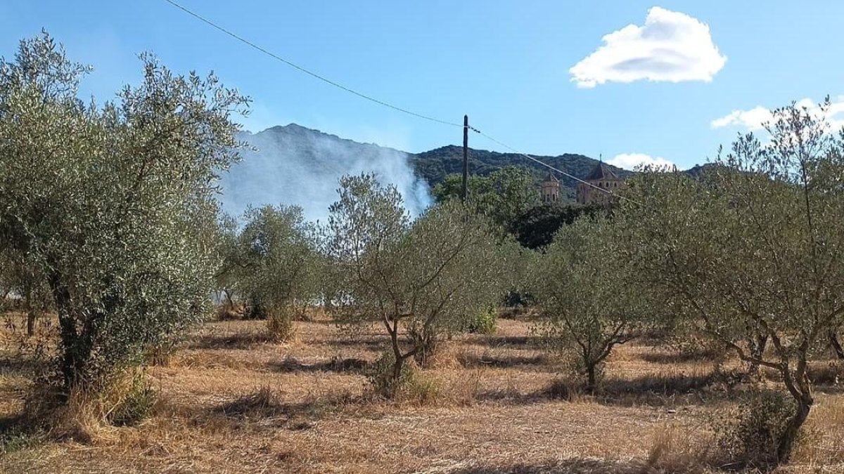 Imagen del incendio en Vimbodí i Poblet