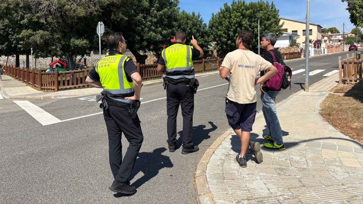 El Ayuntamiento ya está trabajando en la localización de las personas propietarias.