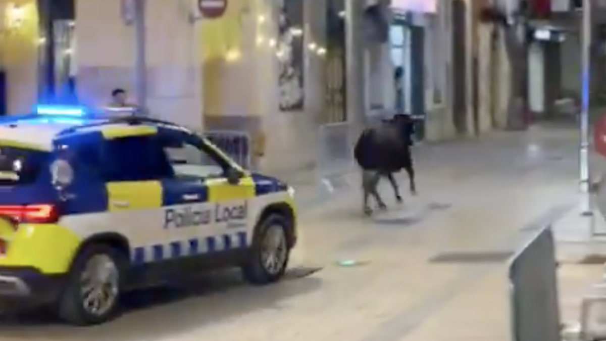 Imagen de la persecución de la vaquilla en Ulldecona