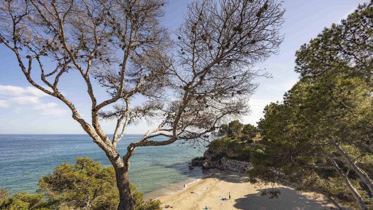 Una bona excusa per acomiadar l’estiu a Miami Platja