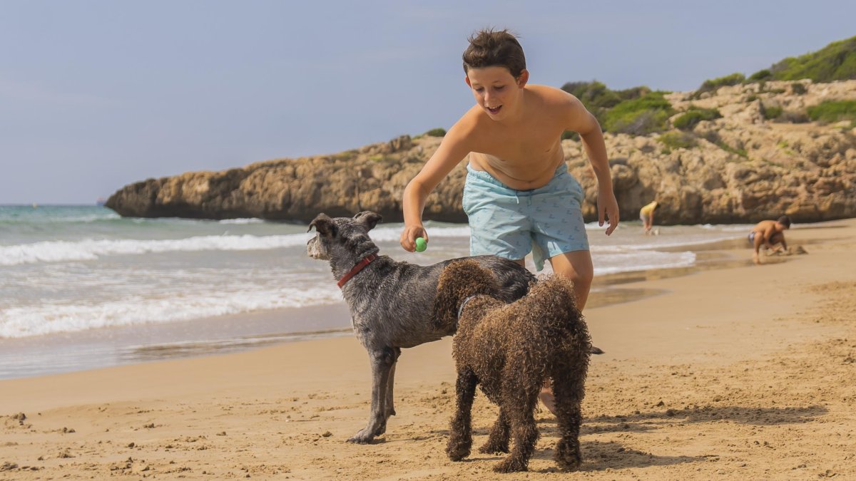 L’activitat començarà a les 10 h als jardins del Camp de Mart i consistirà en un recorregut circular d’uns 6 km