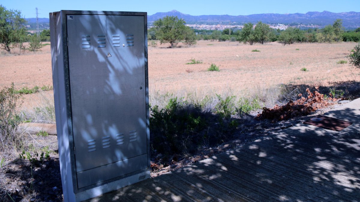 Caixa de connexions elèctriques al costat d'un terreny buit del polígon industrial del Molló