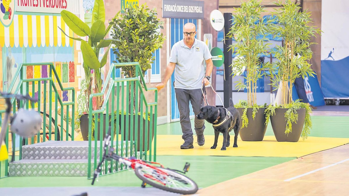 El instructor Manuel de la Dehesa y el perro lazarillo Yudi, completando el circuito de obstáculos para entrenar el animal.