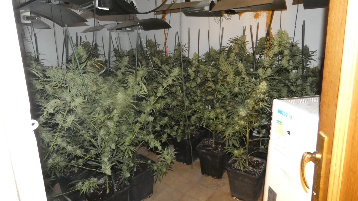 Es va constatar una manipulació il·lícita de la instal·lació elèctrica per defraudar energia.