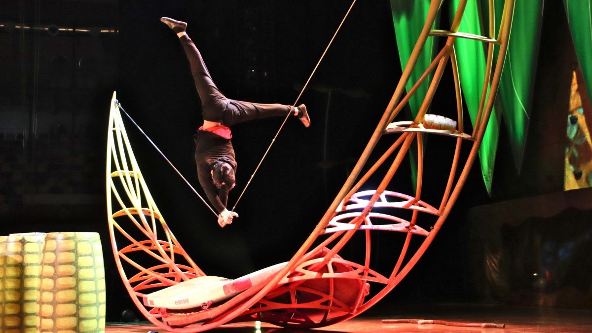 Imagen de un ensayo del espectáculo 'Ovo' del Cirque du Soleil, antes del inicio de la gira europea en Tarragona.