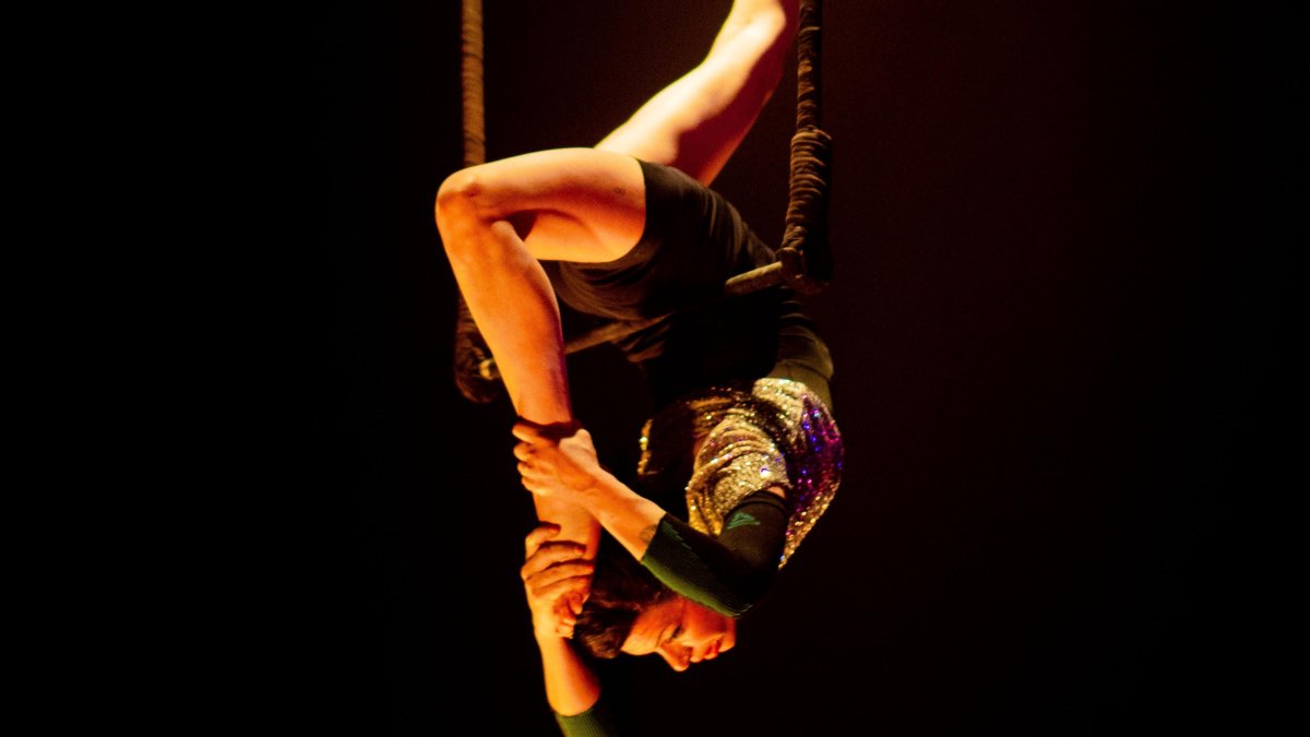 Cirque Pardi! és un col·lectiu internacional de circ contemporani format per artistes i professionals de diversos àmbits