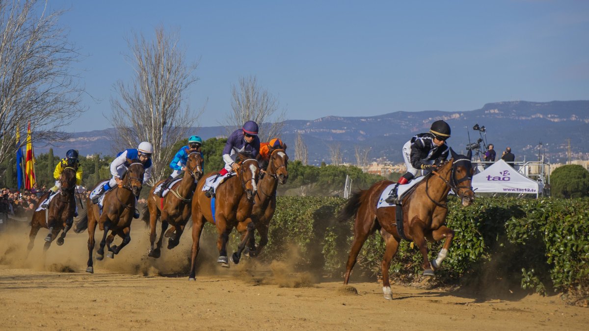 El Cós de Sant Antoni se celebrará el domingo 18 en la Torre d'en Dolça a partir de las 11 horas.