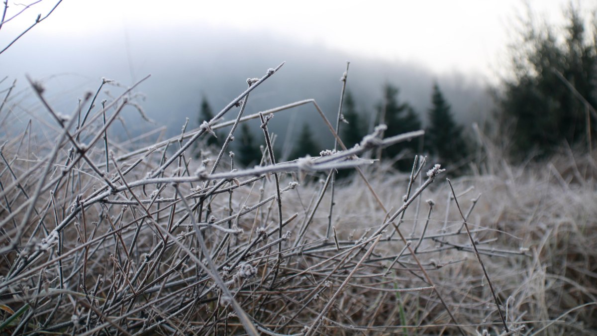 Imagen de archivo de un paisaje helado.