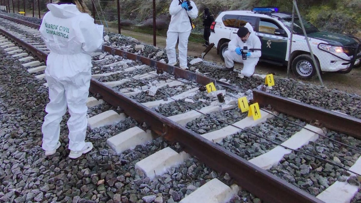 Agents de la Guàrdia Civil a la zona dels trens descarrilats a Adamuz, Còrdova.