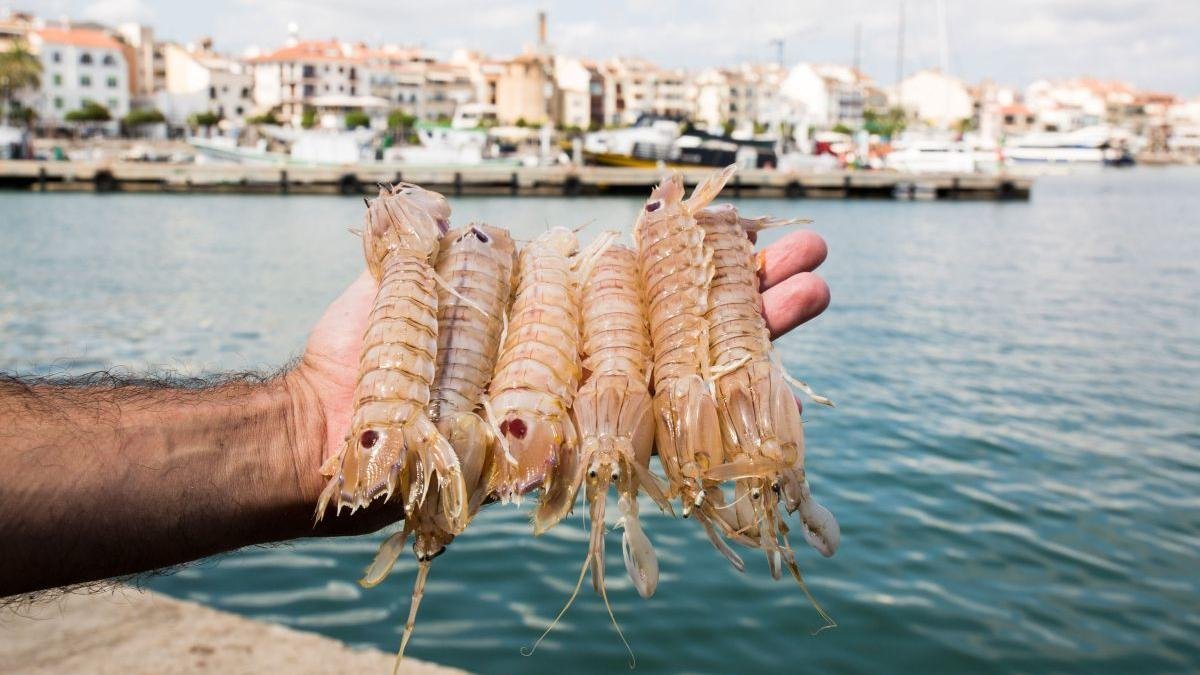 La iniciativa refuerza la apuesta de Cambrils por el producto local y la promoción gastronómica.