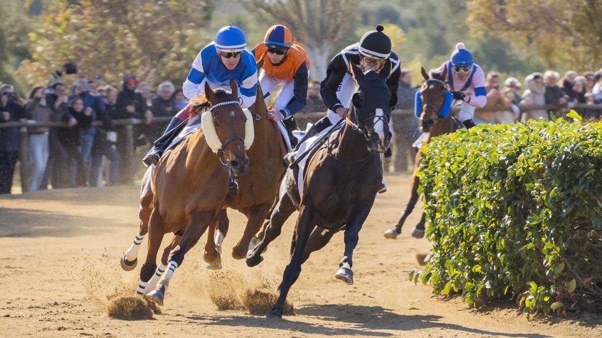 Els genets van completar en total 5.900 metres en tres curses molt disputades. José Emilio Gómez va endur-se els tres premis del Cós de Santa Antoni 2026.