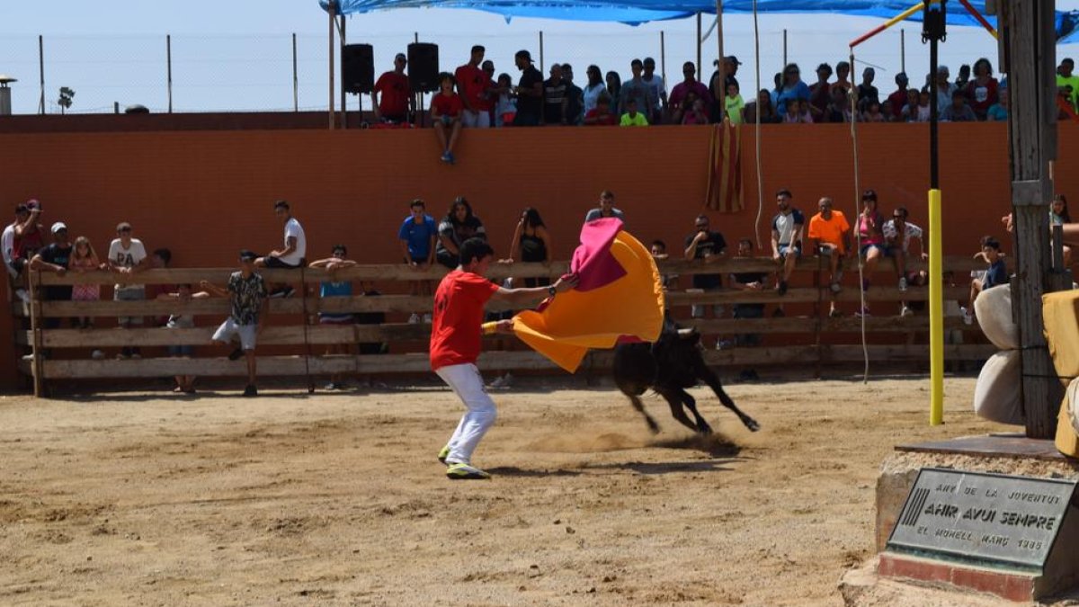 Animalistas ebrenses hacen un llamamiento a los antitaurinos del territorio para que dejen de esconderse y «tener miedo»