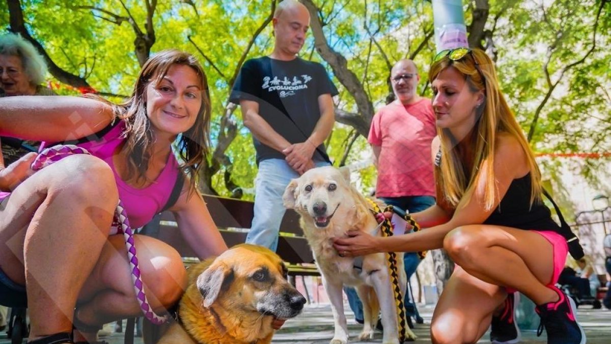 Festes de Maria Cristina