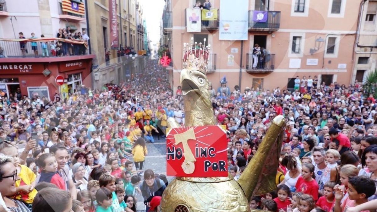 Baixadeta de l'Aligueta (I)