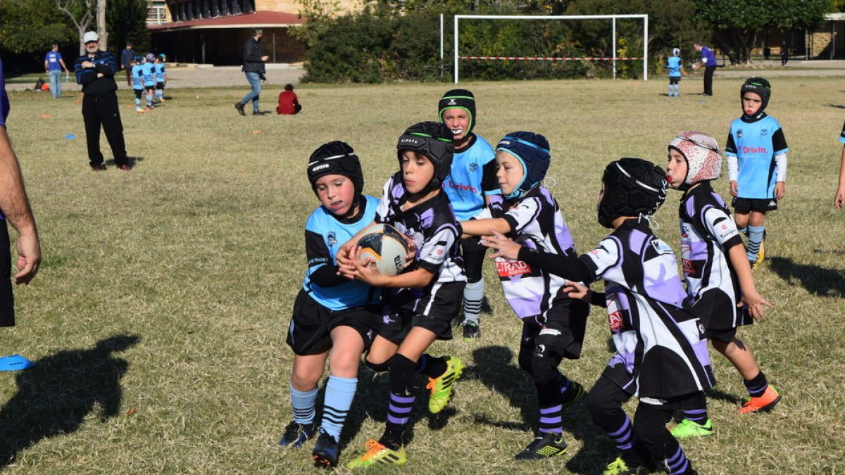 El rugby triomfa entre els petits