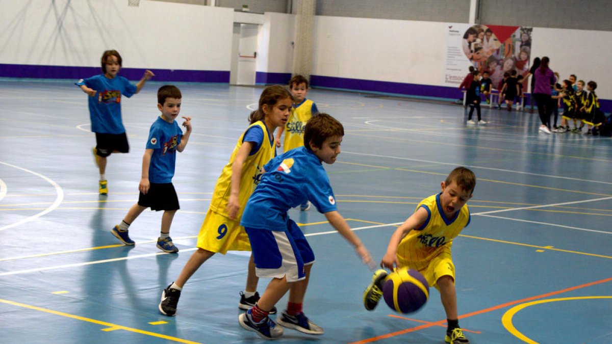 Els petits gaudeixen del bàsquet (1)