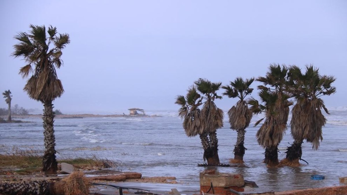Las imágenes del temporal Gloria en el Delta