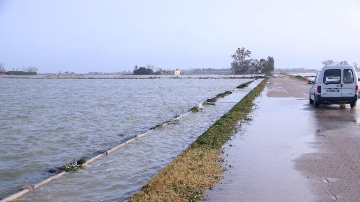 Las imágenes del temporal Gloria en el Delta