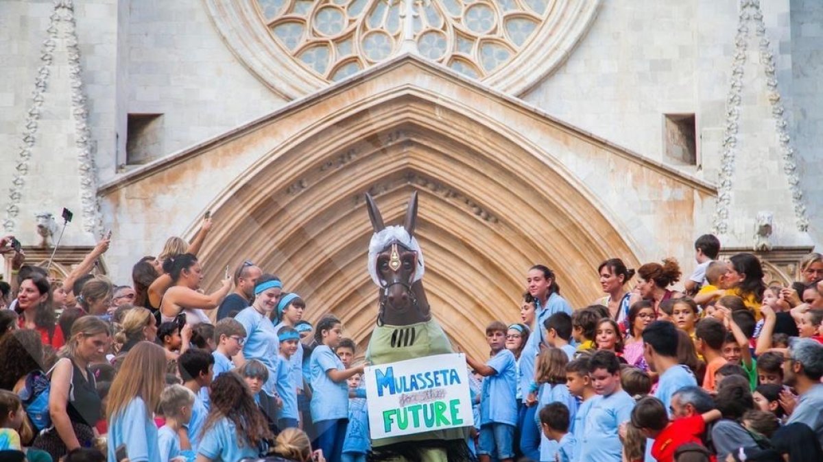 Baixadeta de l'Aligueta (II)