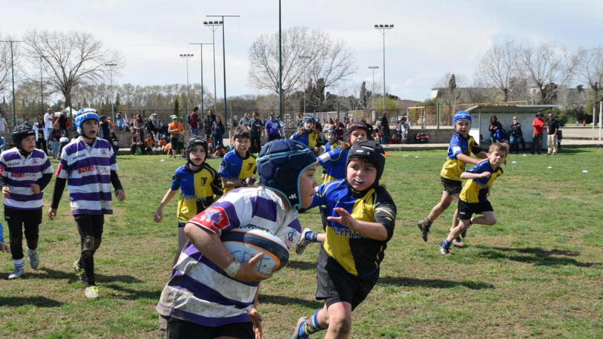 Trobada d'Escoles de Rugby (4)