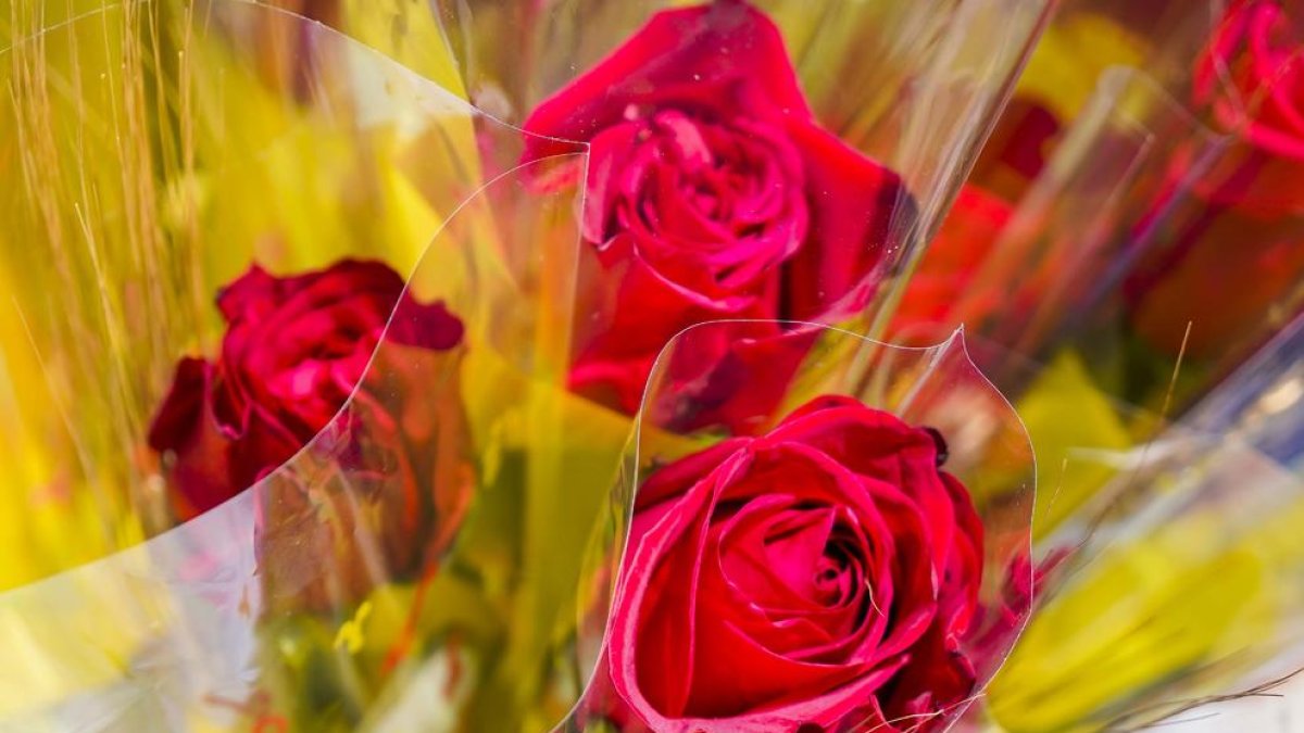 Diada de Sant Jordi 2019 a la Rambla Nova de Tarragona