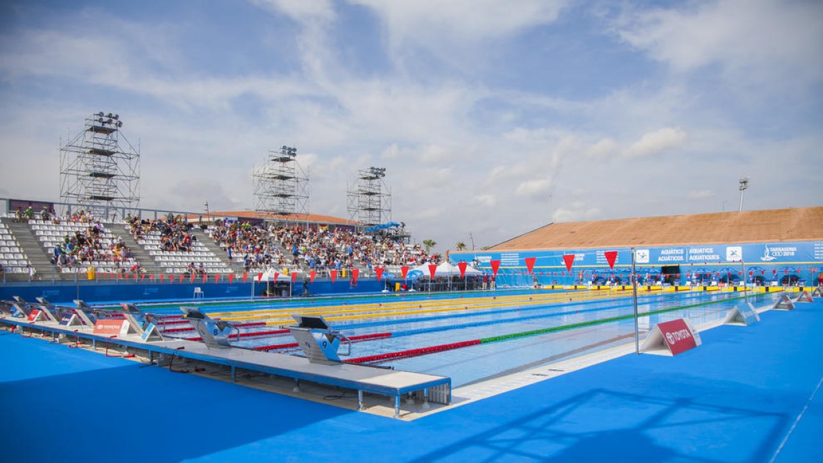 La natació a la piscina olímpica, diumenge (3)