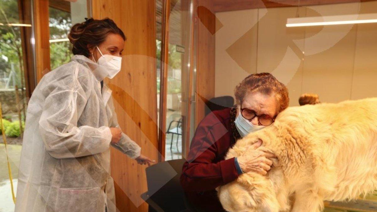 Terapia con perros en el Centro de Alzhéimer de Reus
