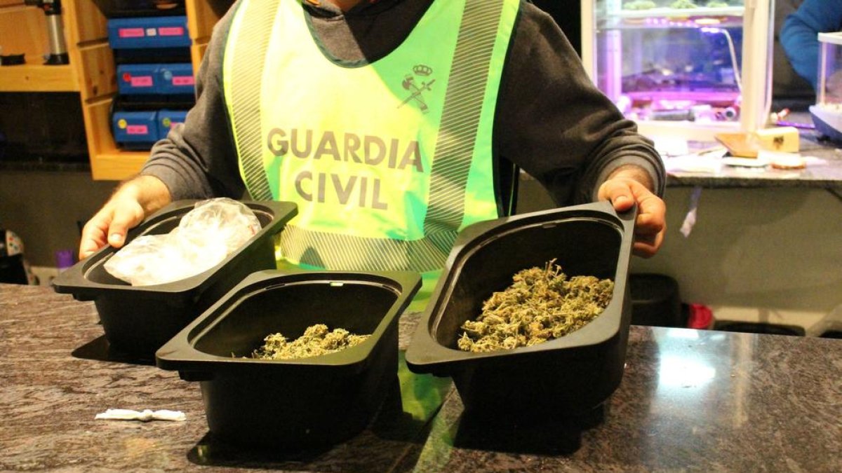 Detenen els responsables d'una associació cannàbica de Salou