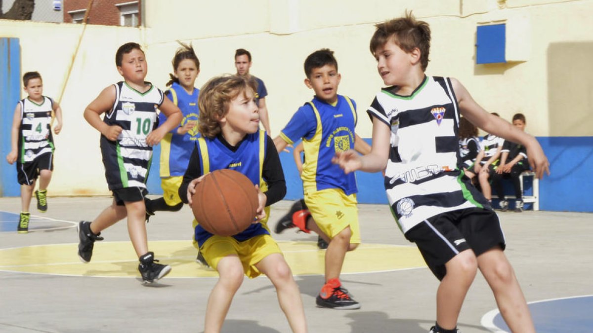 850 jóvenes deportistas participan en las XII Horas de Minibàsquet La Salle
