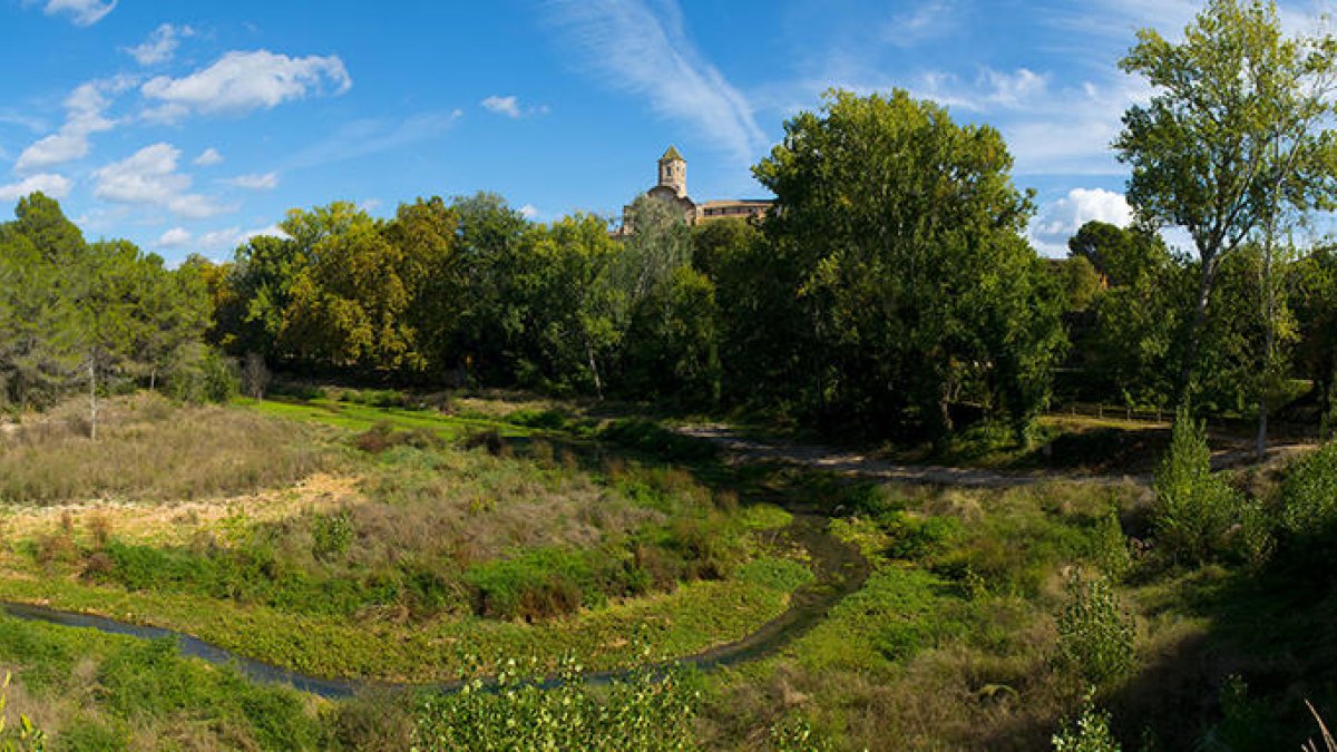 La Diputación reordenará la Alameda de Santes Creus para evitar la degradación