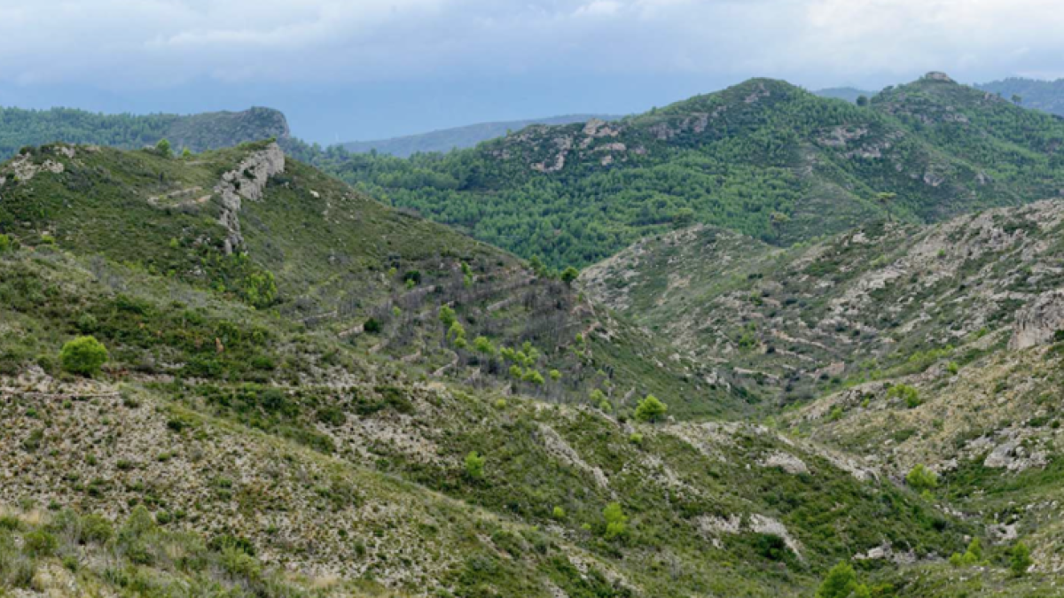 GEPEC pide que se anule la construcción de dos pistas forestales en la Serra de Cardó