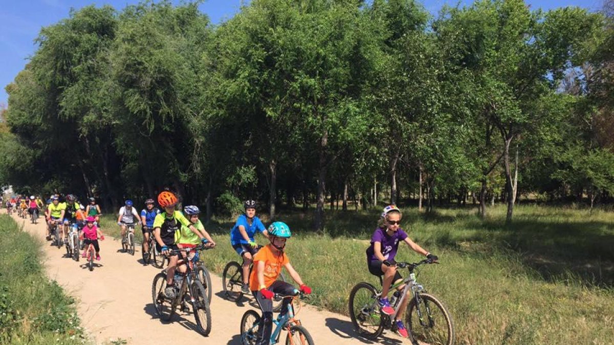 La Canonja celebra el Dia Mundial del Medi Ambient amb les jornades Ecoverd
