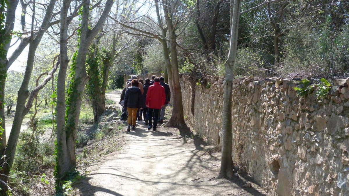 Treballs de millora condicionen el Camí dels Molins i la Pedrera d'en Xispa de Riudecanyes