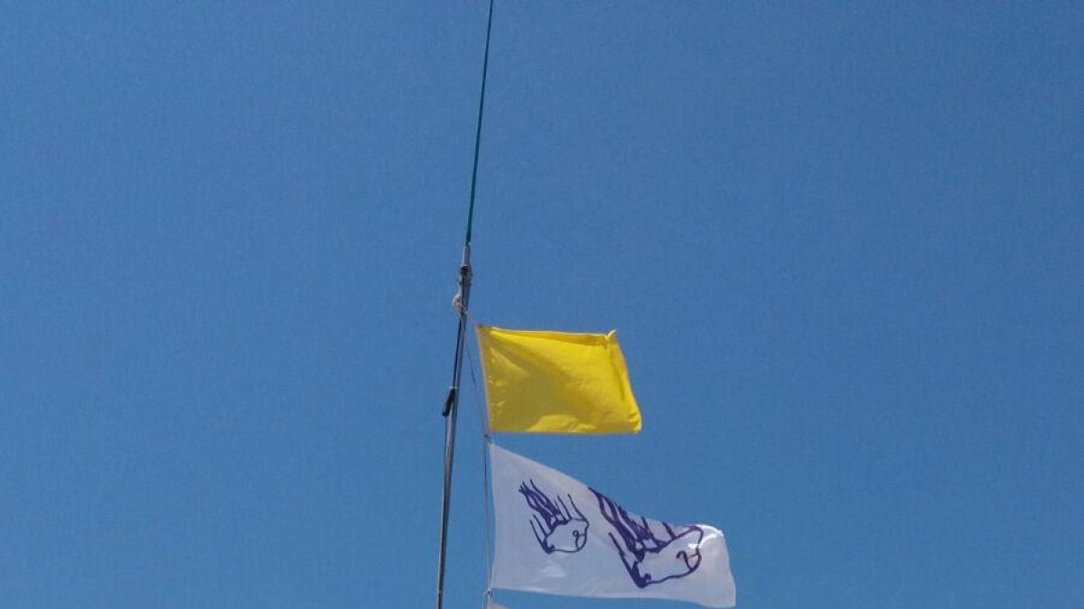 Algunes platges tarragonines alerten de la presència de meduses