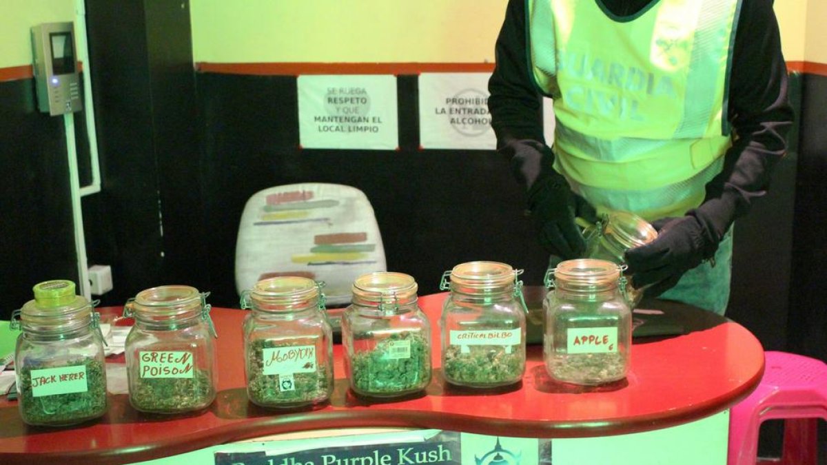 Detenen el president d'una associació cannàbica de Sant Carles de la Ràpita per tràfic de drogues