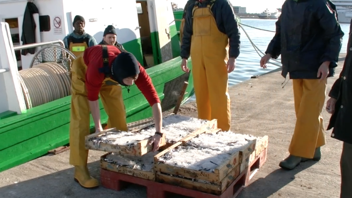L'administració no reconeix com a organització l'entitat Peix Blau de Tarragona