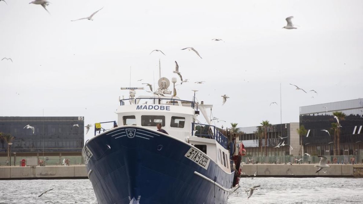 Els mariners rebran ajudes durant el període de veda per primera vegada
