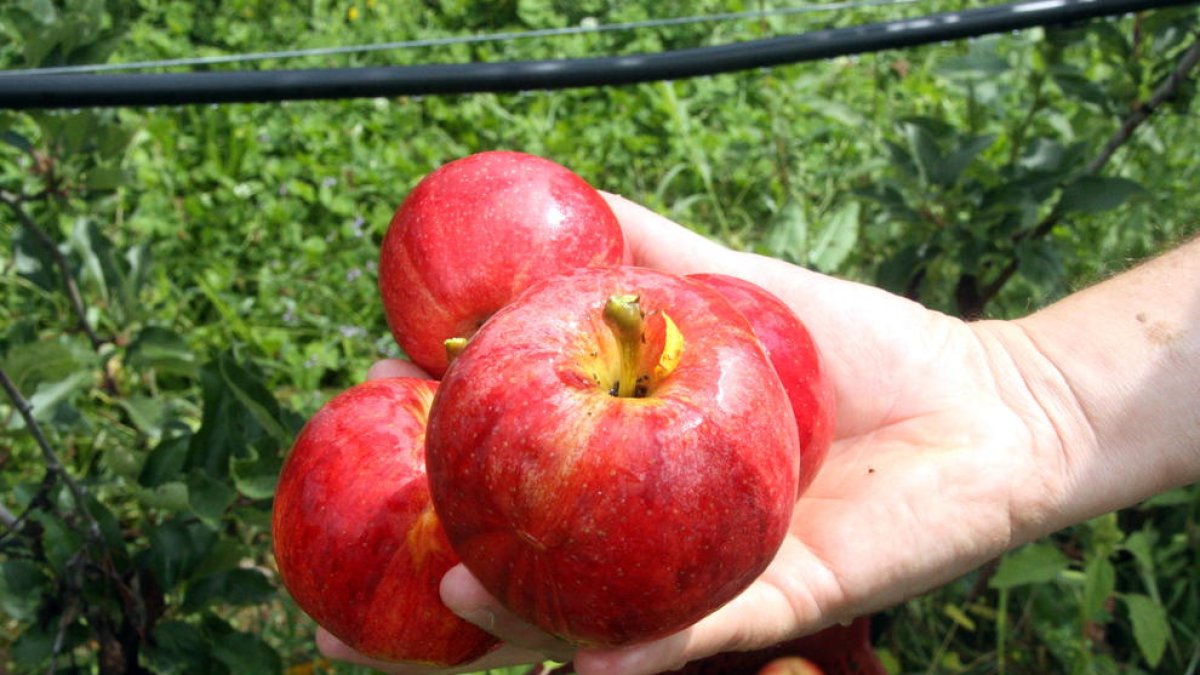 El 7% dels adolescents de la ciutat pateix trastorns alimentaris