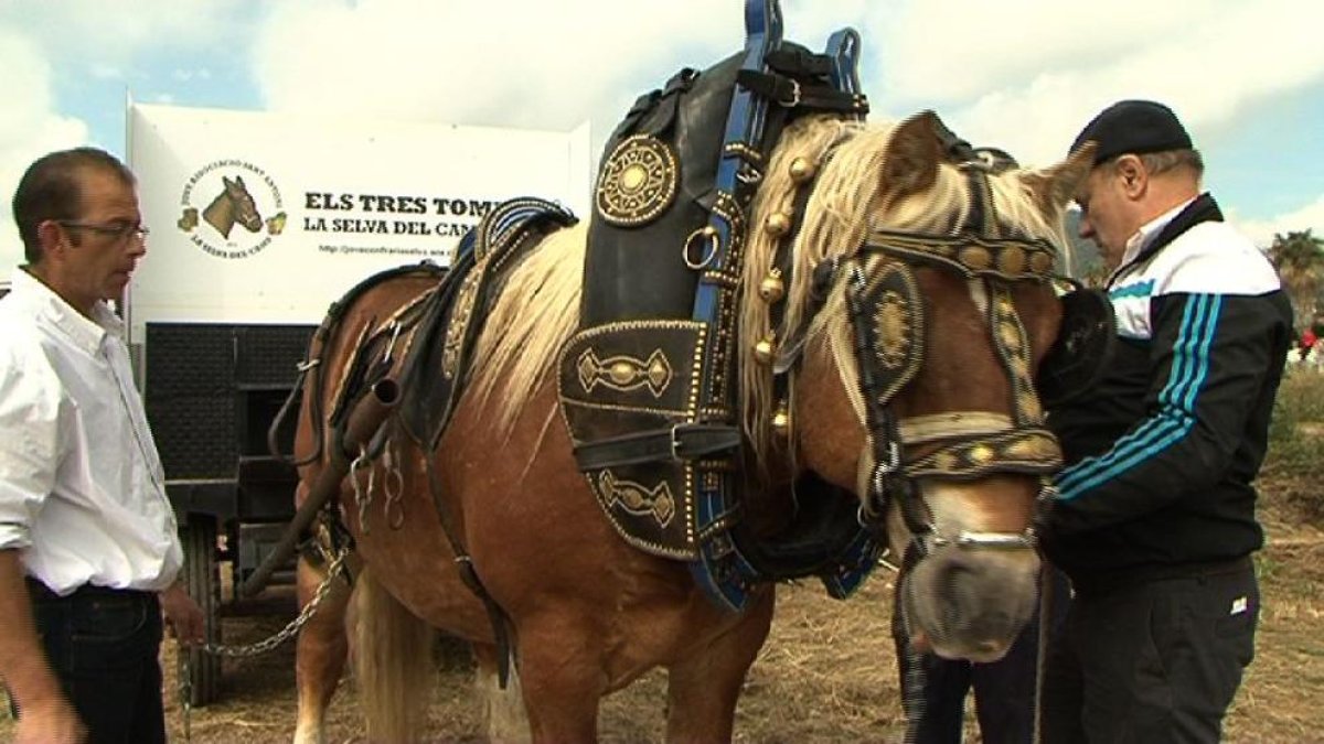 Els Tres Tombs llueixen a la Selva del Camp