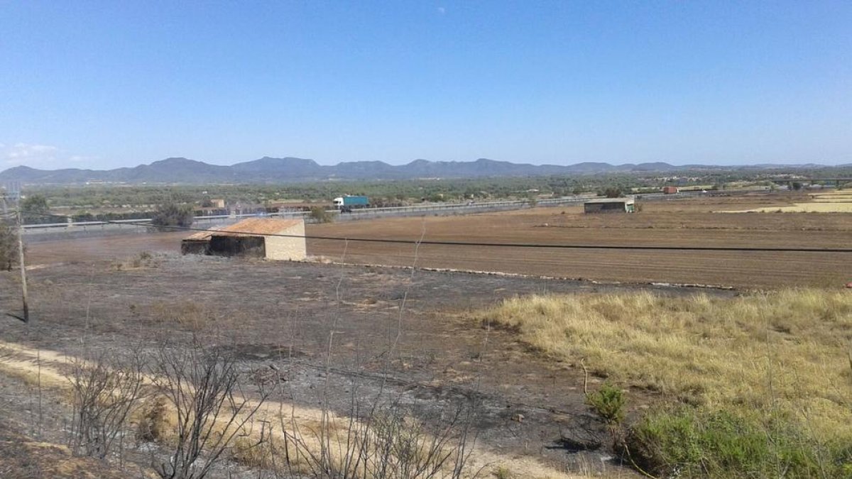 Declarados tres incendios de vegetación en el Pla de Santa Maria, Reus y Torredembarra