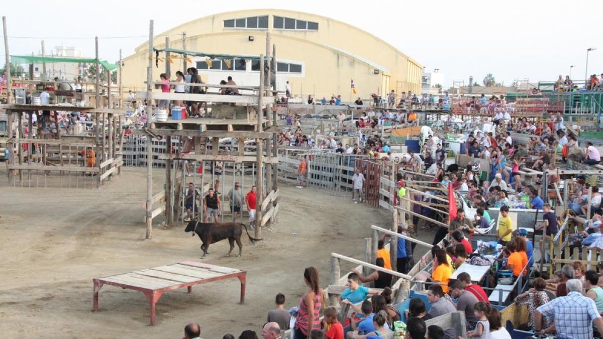 Obren un expedient sancionador per als correbous de Deltebre